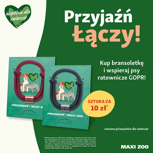 maxi zoo 10 2021